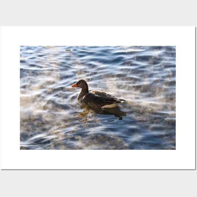 Duck on a Lake Wall Art by Kate-P-